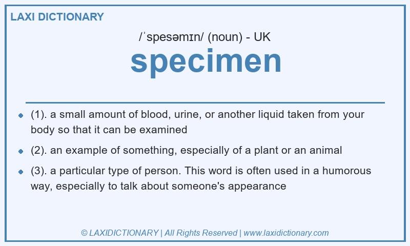 Definition specimen in British English
