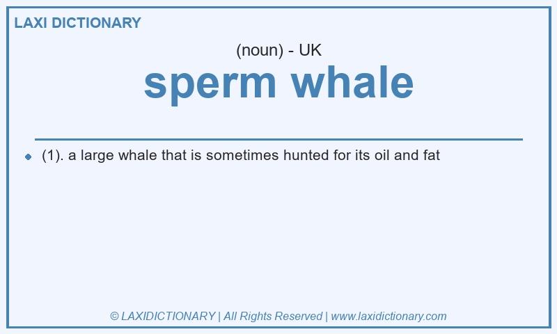 Definition sperm whale in British English