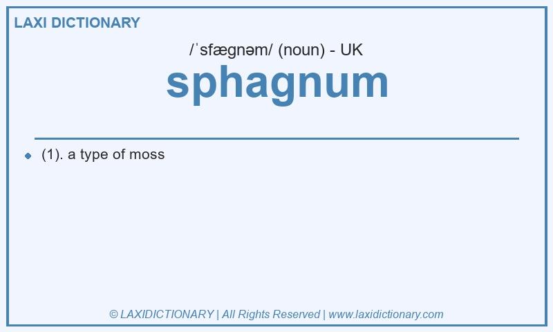 Definition sphagnum in British English