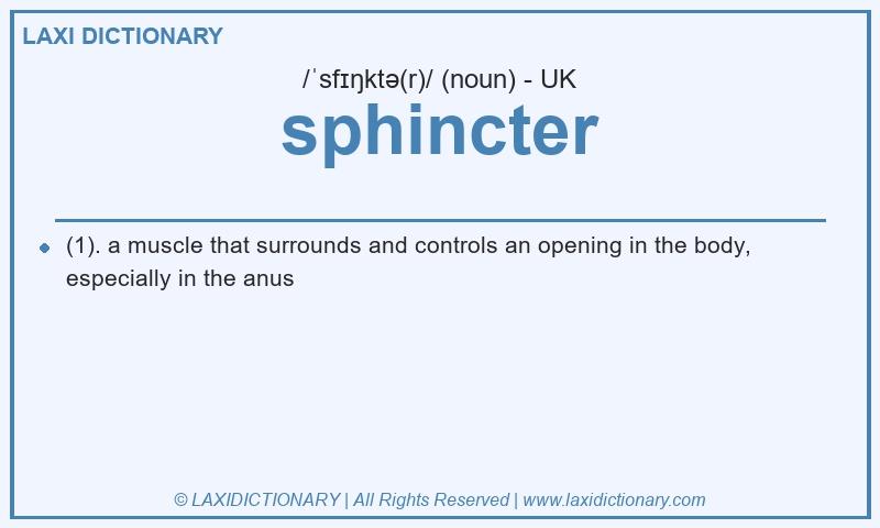 Definition sphincter in British English