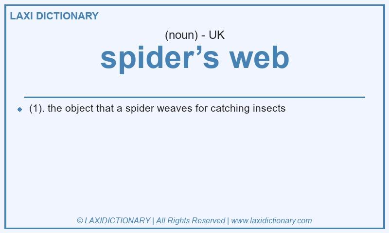 Definition spider’s web in British English