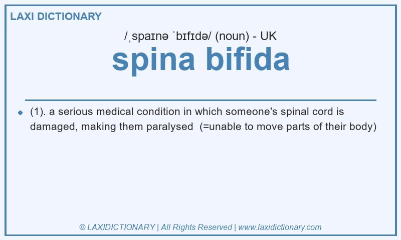 Definition spina bifida in British English
