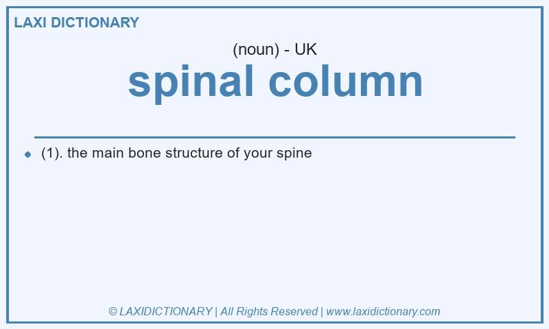 Definition spinal column in British English