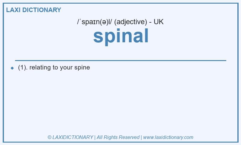 Definition spinal in British English