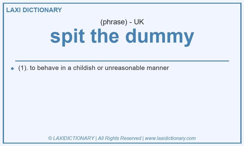 Definition spit the dummy in British English