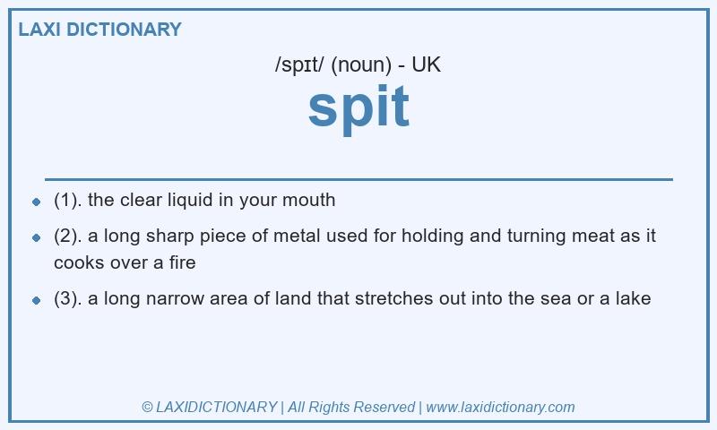 Definition spit in British English