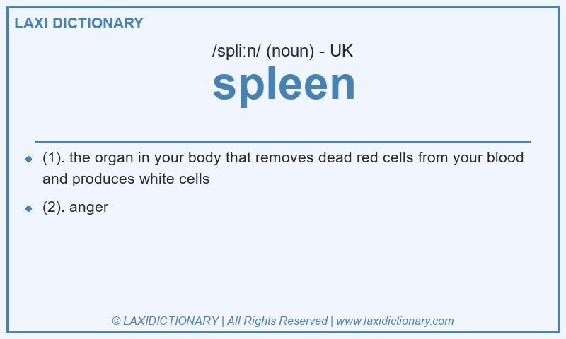 Definition spleen in British English