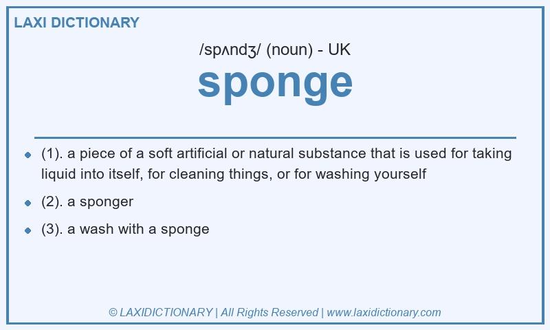 Definition sponge in British English