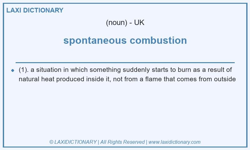 Definition spontaneous combustion in British English