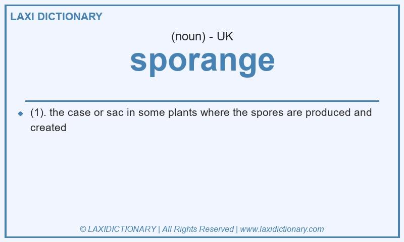 Definition sporange in British English