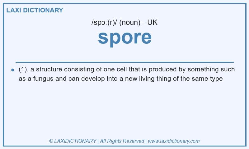Definition spore in British English