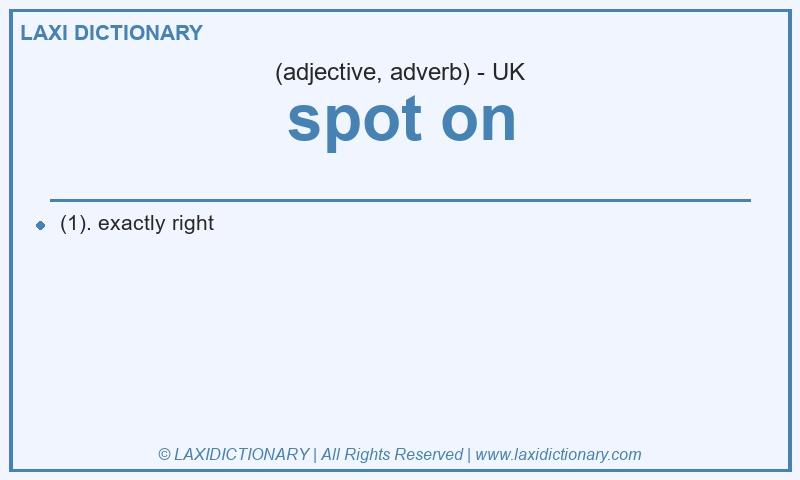 Definition spot on in British English