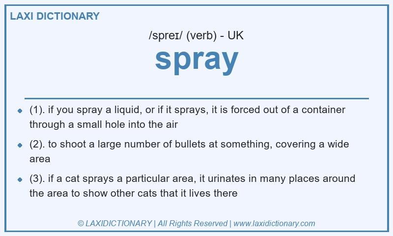 Definition spray in British English