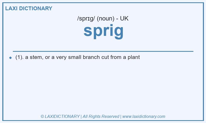 Definition sprig in British English