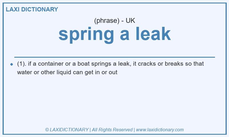 Definition spring a leak in British English