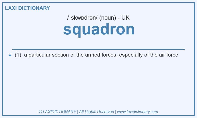 Definition squadron in British English