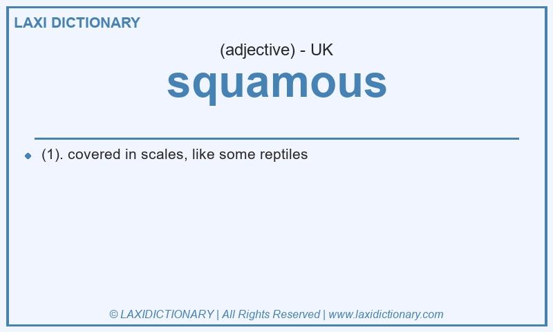 Definition squamous in British English