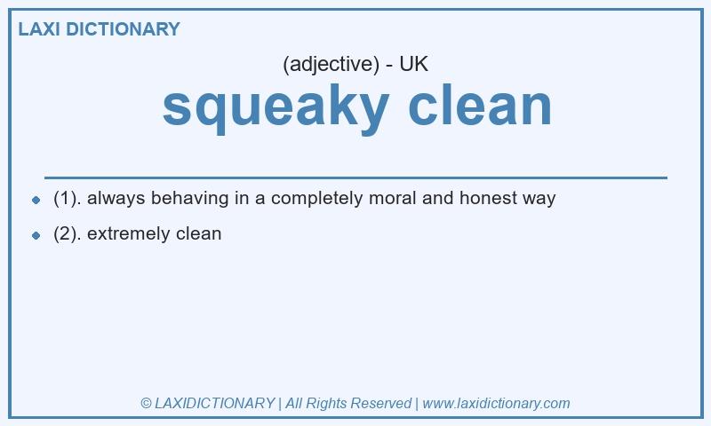 Definition squeaky clean in British English