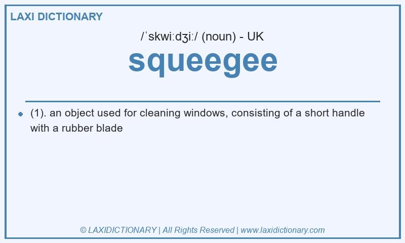 Definition squeegee in British English
