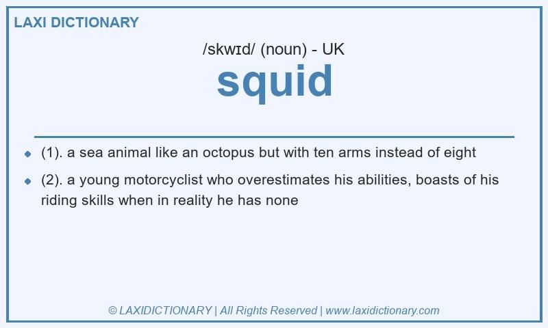 Definition squid in British English