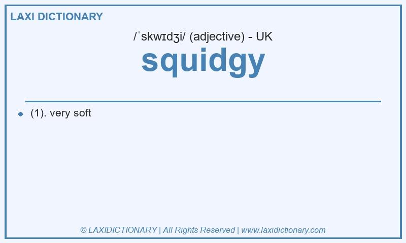 Definition squidgy in British English