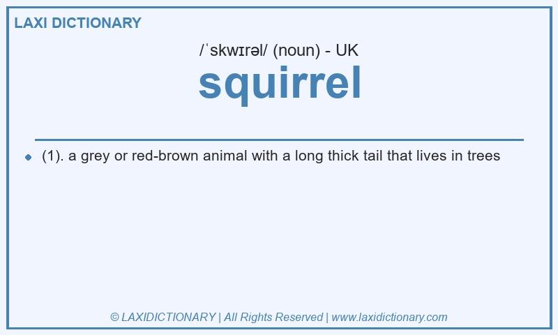 Definition squirrel in British English