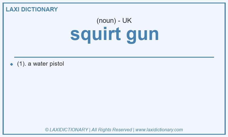 Definition squirt gun in British English
