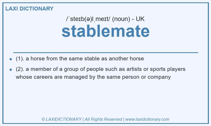 Definition stablemate in British English