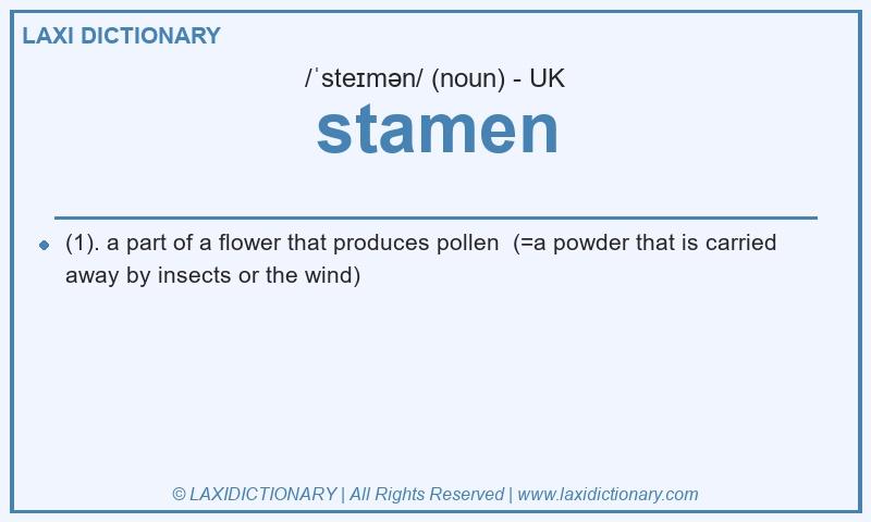 Definition stamen in British English