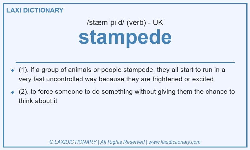 Definition stampede in British English