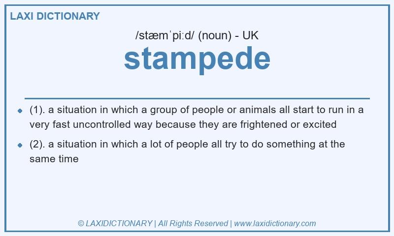 Definition stampede in British English