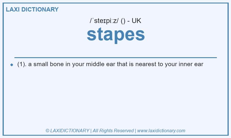 Definition stapes in British English
