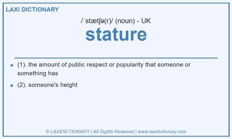 Definition stature in British English