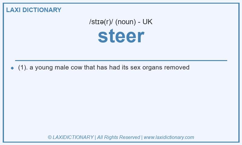 Definition steer in British English