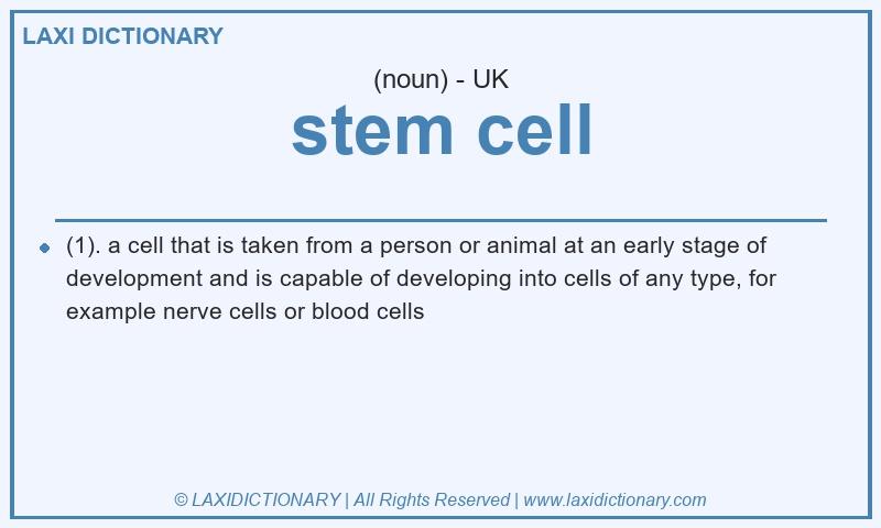 Definition stem cell in British English