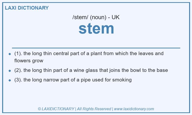 Definition stem in British English