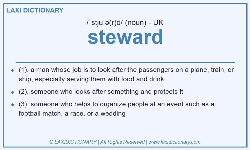 Definition steward in British English