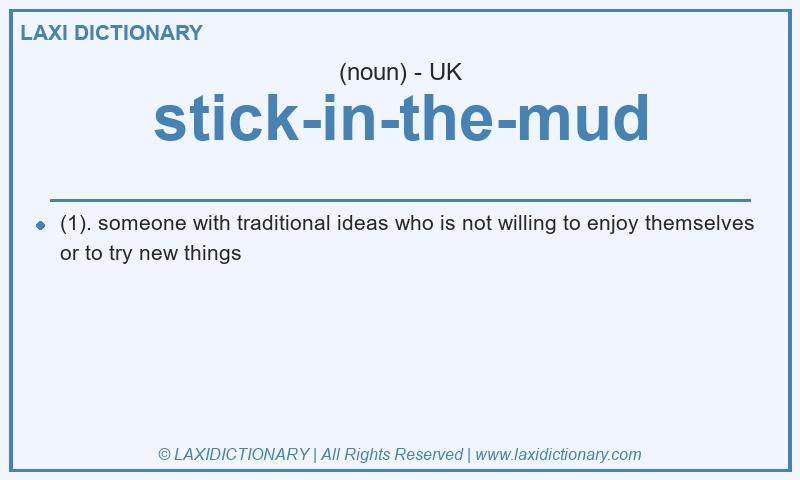 Definition stick-in-the-mud in British English