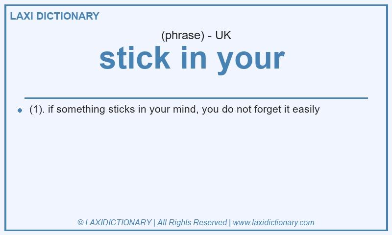 Definition stick in your  in British English