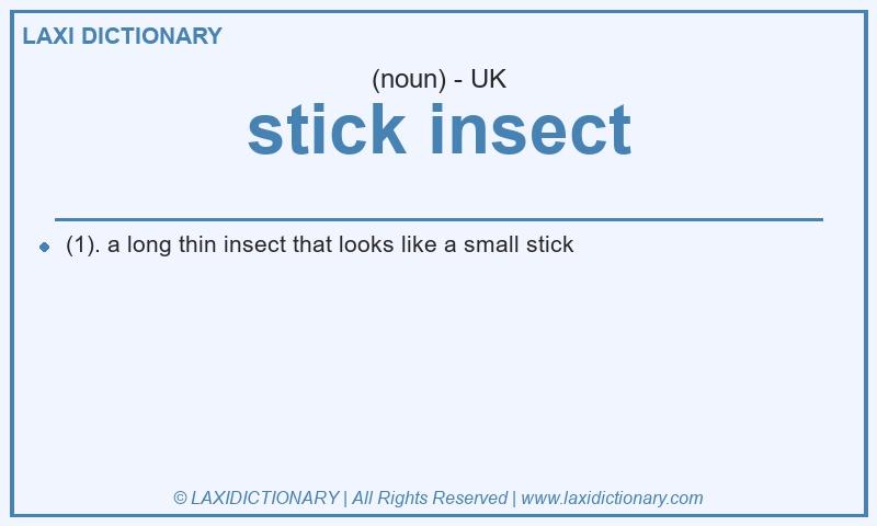 Definition stick insect in British English