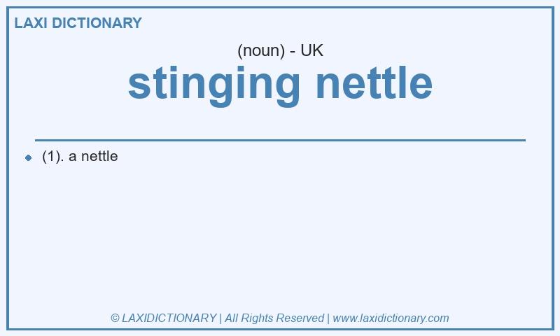 Definition stinging nettle in British English