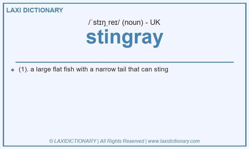 Definition stingray in British English
