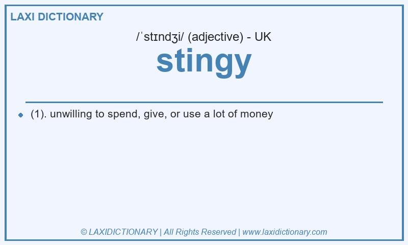 Definition stingy in British English