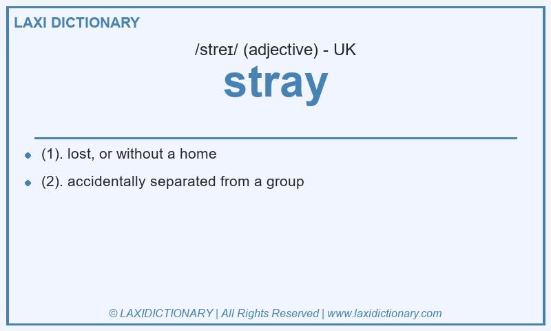 Definition stray in British English