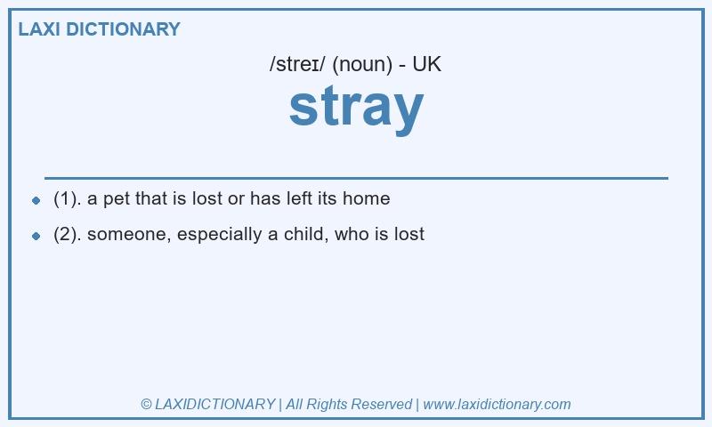 Definition stray in British English