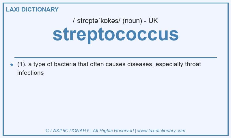Definition streptococcus in British English