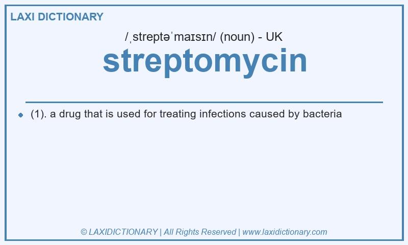 Definition streptomycin in British English