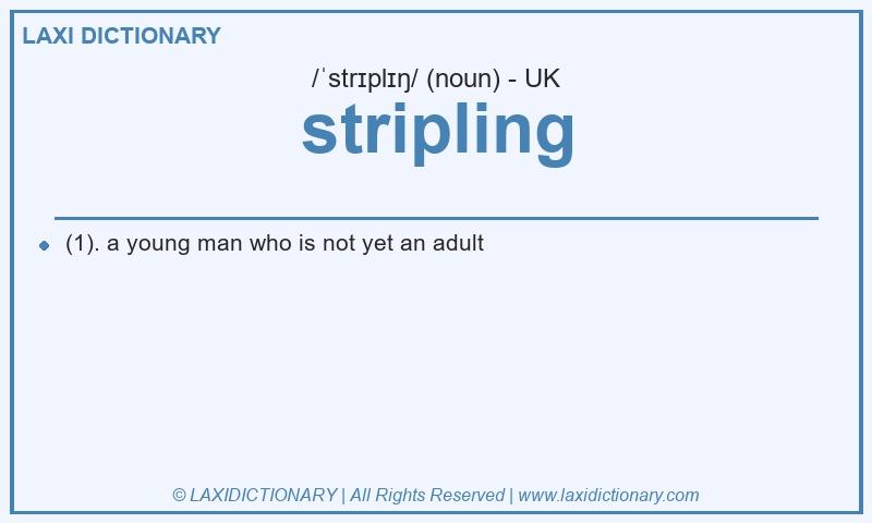 Definition stripling in British English