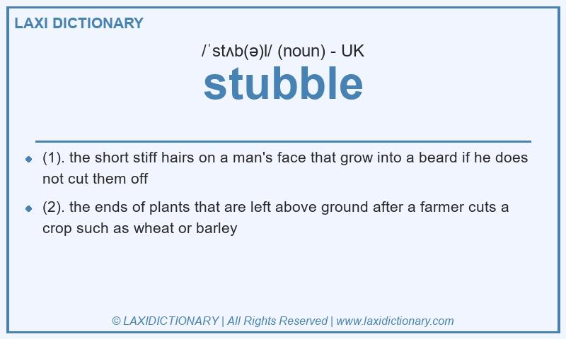 Definition stubble in British English
