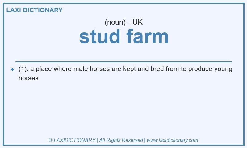 Definition stud farm in British English